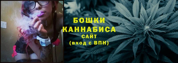 индика Новозыбков