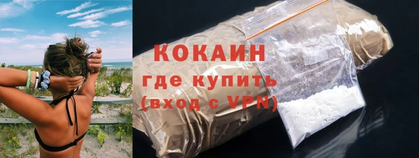 индика Новозыбков