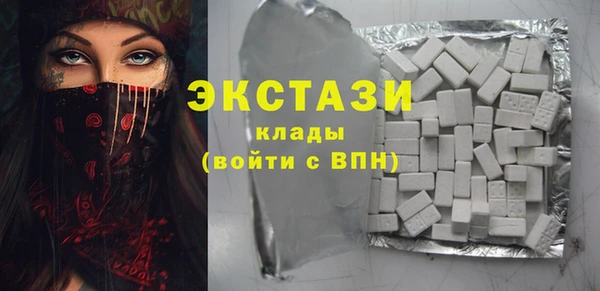 индика Новозыбков