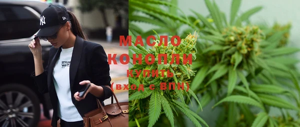 индика Новозыбков