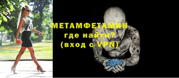 индика Новозыбков