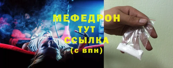 индика Новозыбков