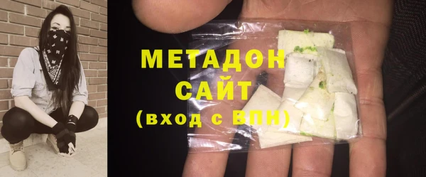 индика Новозыбков