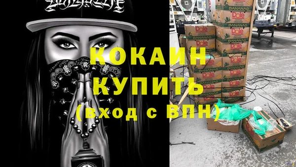 метадон Новодвинск