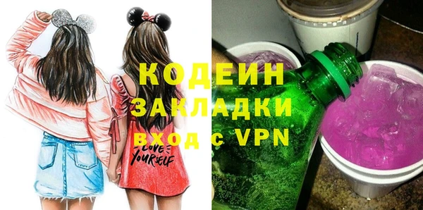 индика Новозыбков