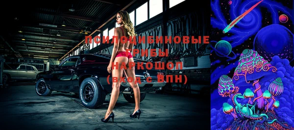 индика Новозыбков