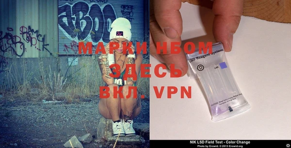 индика Новозыбков