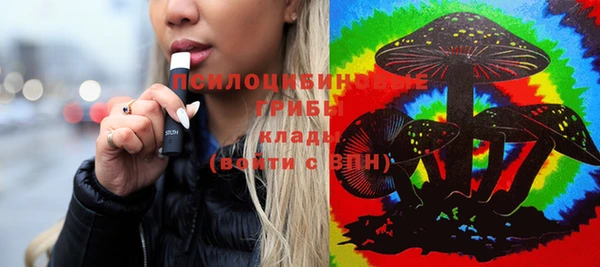 индика Новозыбков