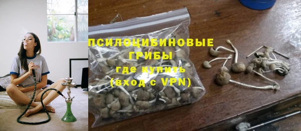 ALPHA PVP Бикин