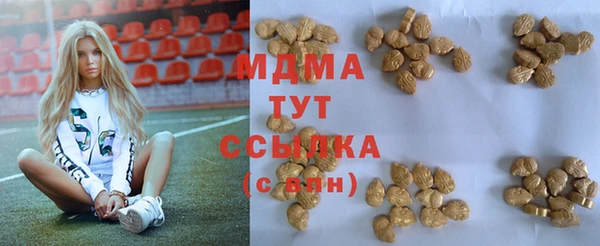 индика Новозыбков