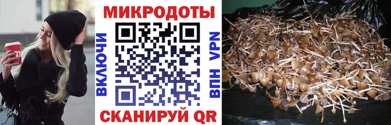 Псилоцибиновые грибы Cubensis Белебей