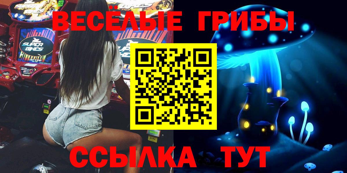 наркота  Белебей  Псилоцибиновые грибы мицелий 