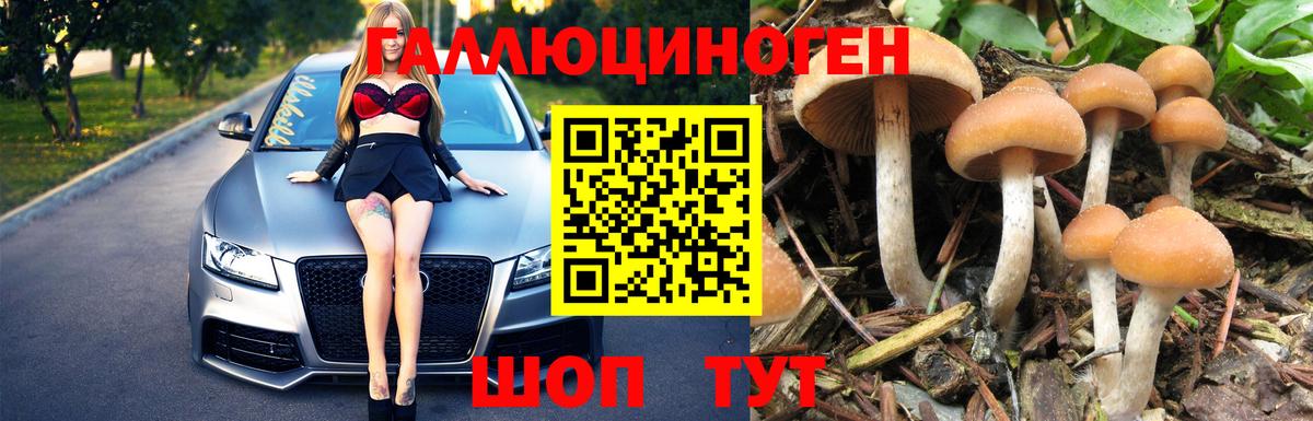 Белебей  Псилоцибиновые грибы Magic Shrooms  Псилоцибиновые грибы MAGIC MUSHROOMS  как найти закладки  Вход с VPN 