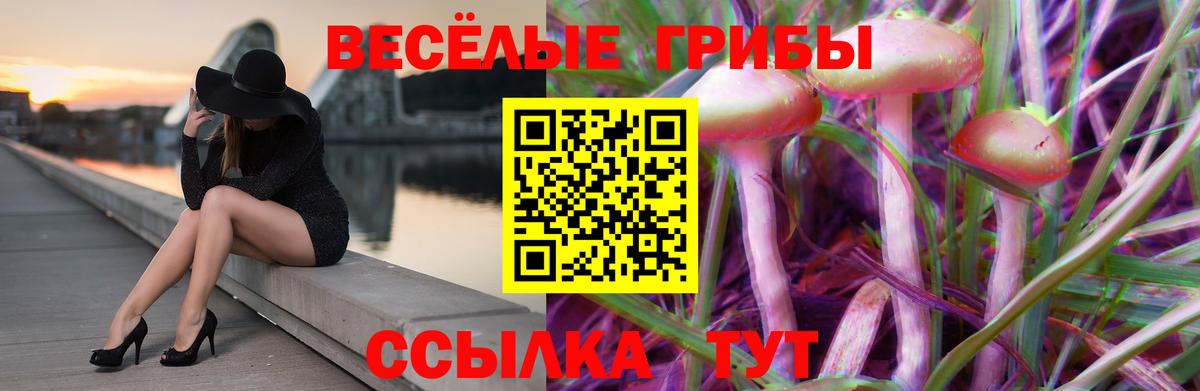 Галлюциногенные грибы мицелий Белебей